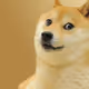 ddgggg