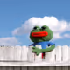 OpenTeej_0_o