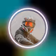 0xCasp3r