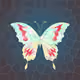NesterFly