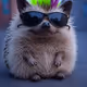 GroKKKTT
