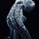 Octopusworlds