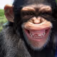 Monito83_2do