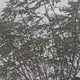 0x0ef13f83c94b6b18e8d4950fdfbbfdbf1ff74d86