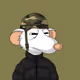 iDEG3N
