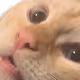 0x0f070ac4eba3426cc9f534645f3a316f142f70d5