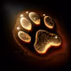 21Paw