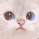 Mochi_ManMan