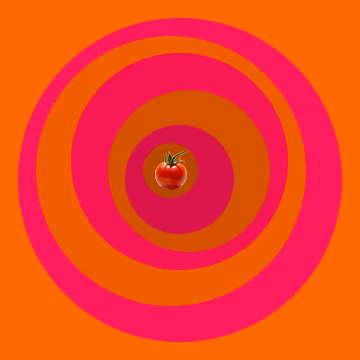 OpenSea profile picture for @Tomatoes