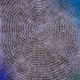 0x0f692426af319a65f46cc75f5b9051a5423ec8e9