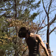 noahk27