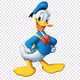 Duck-OP