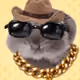 athloss