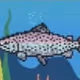 digital_salmon