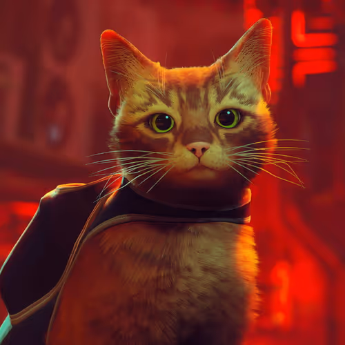 OpenSea profile picture for @Mardik
