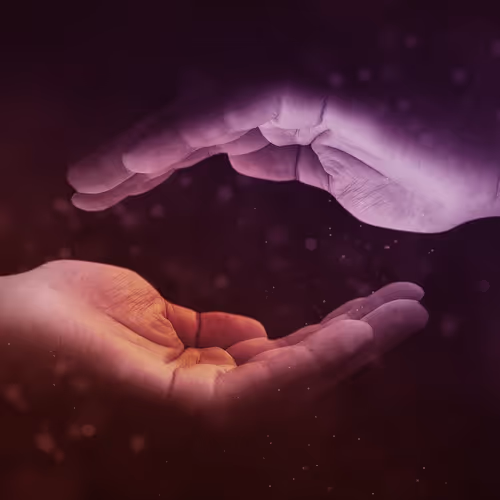 OpenSea banner for @Windowsill