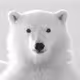 CryptoAfs