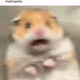 ItsMelvin