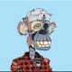 Nibi19