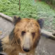 njnuhug