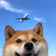 hytghbdrb
