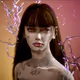 lilygraff