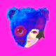 coco_fan_teddybear