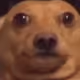 Dreaqy
