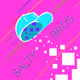 SaltyBro