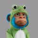 JRFIGA