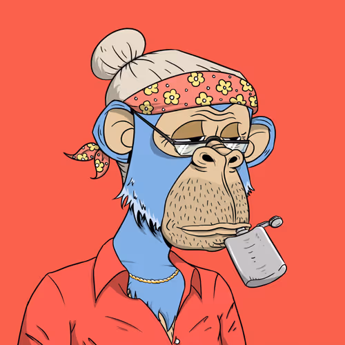 OpenSea profile picture for @Bailiff