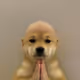 0x108caff4f3da997a54268d7529f0f4d90b9481e0