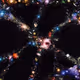usernamegoeshere69
