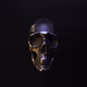 0xSkull