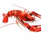 lobshunter