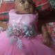 0x10d4bb05aa90558ffb5dda7832ae135ac4e4785e