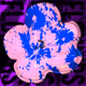 0x110241ce9d8378f6f4e9c11ca97214b7ddab753d