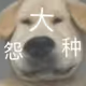 Jyman2