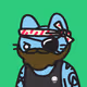 ilikethecats