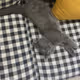 LlittleCat