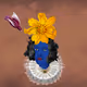 Cryplito