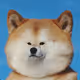0x11220d0b280d265ce6bed6f77a469dfe52231db0
