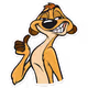 Micter_Jack