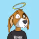 SoarNBgle