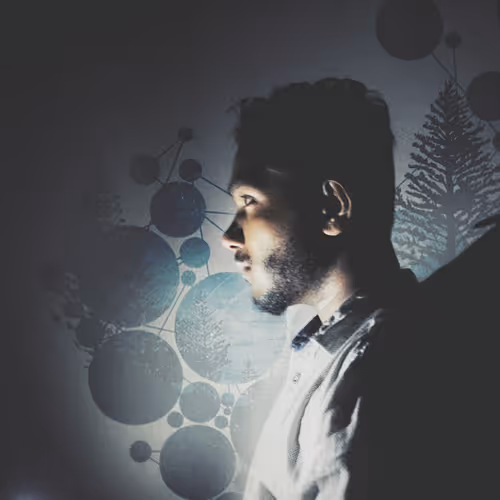 OpenSea profile picture for @reef4t
