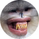 SHENLONGDONG