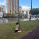 pissyonky