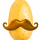 the_potatostaches_creator
