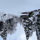 0x11ad70082c603549137d20d88a532dce1cc0390f