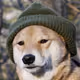 JBDoge